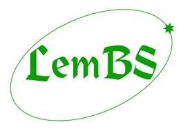 Lemberg Tech Business School